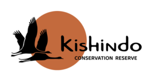 kishindo_logo_400